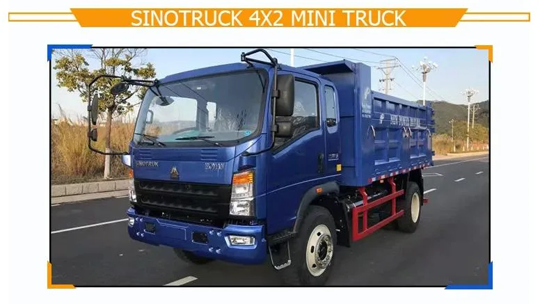 4X2 Light Duty Car Truck Sinotruk HOWO 6 Tons 116HP LHD Rhd Box Truck Van Cargo Truck